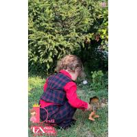 Мъжки Костюм от 4 части № МК-4-СЧК-ПД